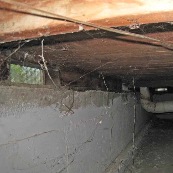Crawl Space Water Extraction in Stoughton, MA