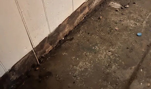 Toilet Overflow Water Removal in Wilmington, MA