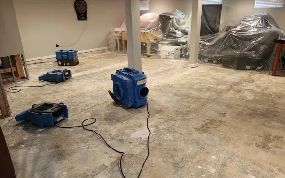 Structural Drying Services in Weymouth, MA